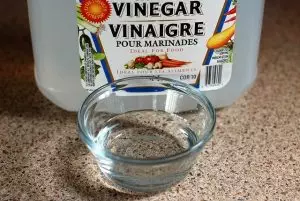 #1 Window Cleaning Services Sydney & Free How To DIY Guide 1 Natural Window Cleaning Hack