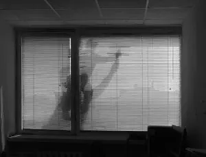 #1 Window Cleaning Services Sydney & Free How To DIY Guide 4 Cleaning Exterior Windows